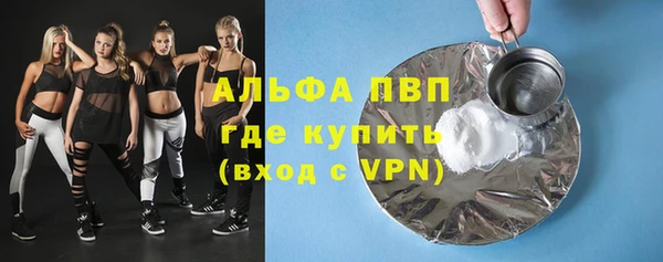 ГАЛЛЮЦИНОГЕННЫЕ ГРИБЫ Бородино