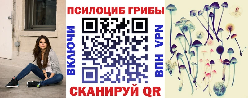 Псилоцибиновые грибы Cubensis  Ейск 